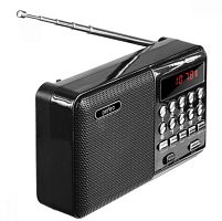 Радиоприемник PERFEO (PF-A4870) PALM - черный