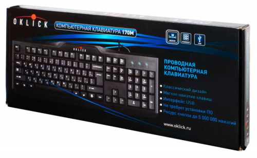 Клавиатура Оклик 170M черный USB фото 3