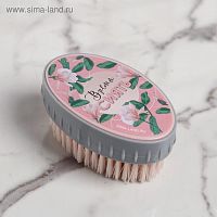 Щетка пластиковая "Время сиять", 10,5 х 5 х 6 см    