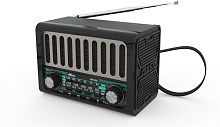 Радиоприемник RITMIX RPR-020